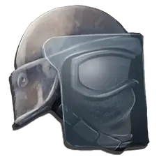 Riot Helmet